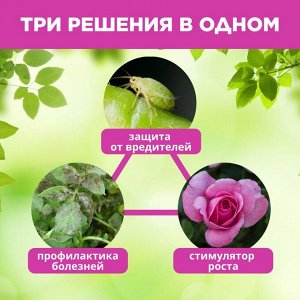 Инсектицид Зеленое мыло, 350 мл, с пихтовым экстрактом, БиоМастер