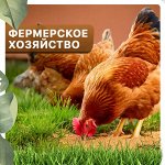 Фермерское хозяйство