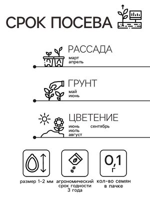 Семена Наперстянка Пурпурная Глоксиния 0.1г*