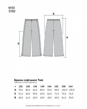 Брюки софтшелл Trek серо-голубой