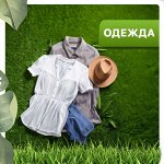 Одежда