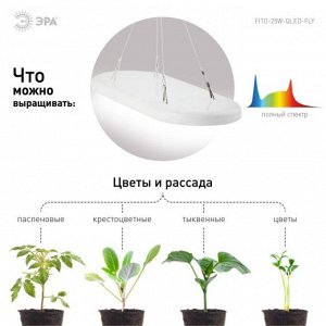 Светильник подвесной светодиодный д/растен, 25 Вт, 100-240 В, Эра, Фито FITO-25W-QLED-FLY, Б0053062