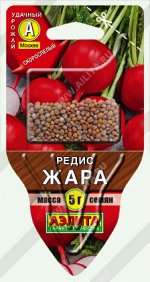 Редис Жара (2022; 19.01.95)