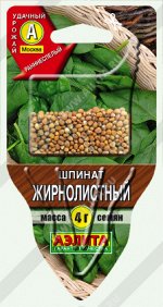 Шпинат Жирнолистный (2022; 31.08.11)