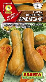 Тыква мускатная Арабатская (2024; 27.95.03)
