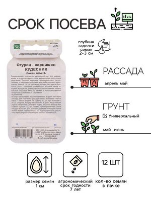 Семена Огурец "Кудесник", корнишон, серия Банка, 12 шт