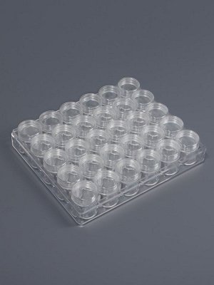 Органайзер для хранения мелочей, 30 баночек, d=2.6x2.8 см, 16.5x13.5x3.5 см, прозрачный