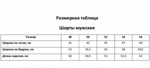 Шорты мужские MIST, серый