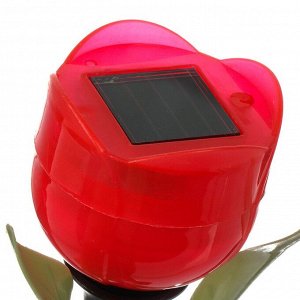 Светильник садовый Ultraflash, SGL-006, на солнечной батарее, грунтовый, тюльпан, в ассортименте