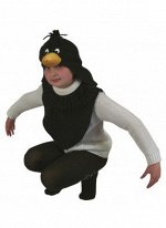 Костюм вороненок