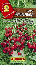 Томат Ампелька (2024; 16.857.01)