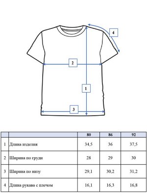 Комплект детский трикотажный для мальчиков: фуфайка (футболка), брюки голубой,белый