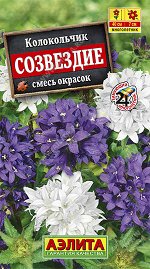 Колокольчик Созвездие, смесь окрасок (2023; 124.12.16)