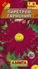 Пиретрум Гармония (2023; 160.02.12)