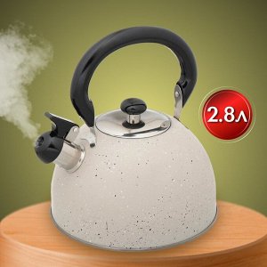 Чайник нержавеющая сталь, 2.8 л, со свистком, матовый, ручка бакелитовая, Daniks, бежевый мрамор, M-009W