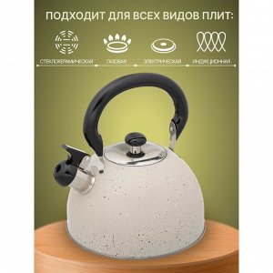 Чайник нержавеющая сталь, 2.8 л, со свистком, матовый, ручка бакелитовая, Daniks, бежевый мрамор, M-009W