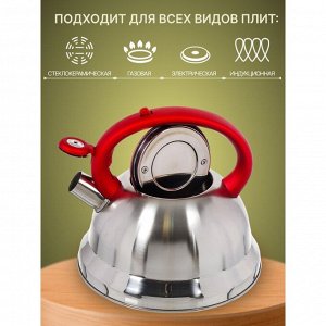 Чайник нержавеющая сталь, 2.8 л, со свистком, матовый, ручка с силиконовым покрытием, Daniks, красный, MSY-013R