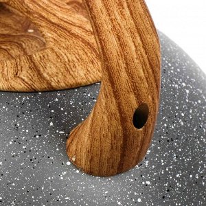 Чайник нержавеющая сталь, 2.8 л, со свистком, ручка soft touch, Катунь, Гранит, индукция, серый, КТ-150MG