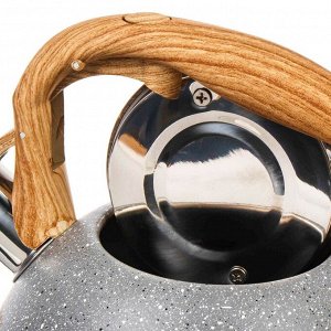 Чайник нержавеющая сталь, 2.8 л, со свистком, ручка soft touch, Катунь, Гранит, индукция, серый, КТ-150MG