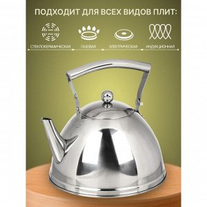 Чайник нержавеющая сталь, 3 л, зеркальный, Daniks, индукция, зеркальный, MSY-201-23