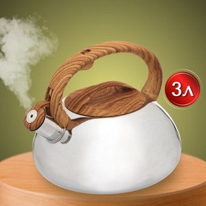 Чайник нержавеющая сталь, 3 л, со свистком, зеркальный, ручка бакелитовая в цвет дерева, Daniks, индукция, MSY-A010 -1