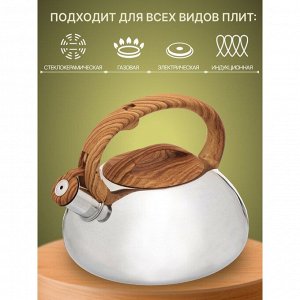 Чайник нержавеющая сталь, 3 л, со свистком, зеркальный, ручка бакелитовая в цвет дерева, Daniks, индукция, MSY-A010 -1