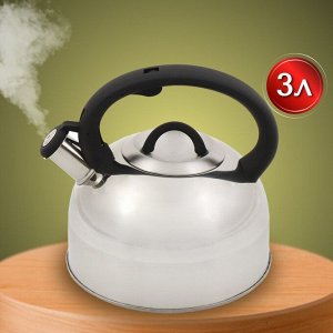 Чайник нержавеющая сталь, 3 л, со свистком, зеркальный, ручка бакелитовая, с силиконовым покрытием, Daniks, Турин, индукция, MSY-075PM