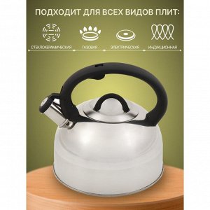 Чайник нержавеющая сталь, 3 л, со свистком, зеркальный, ручка бакелитовая, с силиконовым покрытием, Daniks, Турин, индукция, MSY-075PM