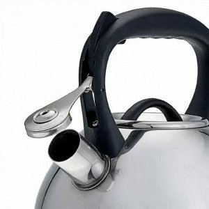 Чайник нержавеющая сталь, 3 л, со свистком, зеркальный, ручка пластиковая, Alpenkok, индукция, AK-516