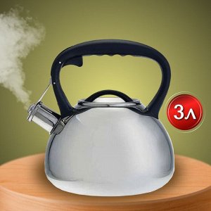 Чайник нержавеющая сталь, 3 л, со свистком, зеркальный, ручка пластиковая, Alpenkok, индукция, AK-516