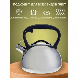 Чайник нержавеющая сталь, 3 л, со свистком, зеркальный, ручка пластиковая, Alpenkok, индукция, AK-516