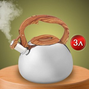 Чайник нержавеющая сталь, 3 л, со свистком, зеркальный, ручка пластиковая, Alpenkok, индукция, AK-517