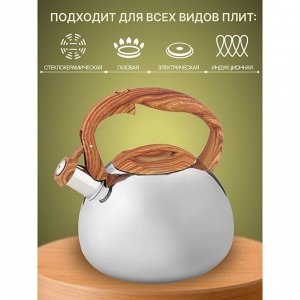 Чайник нержавеющая сталь, 3 л, со свистком, зеркальный, ручка пластиковая, Alpenkok, индукция, AK-517