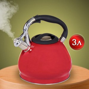 Чайник нержавеющая сталь, 3 л, со свистком, зеркальный, ручка с силиконовым покрытием, Daniks, Валетта, индукция, QS-K-3