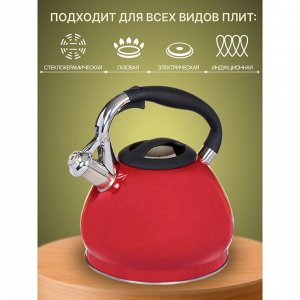 Чайник нержавеющая сталь, 3 л, со свистком, зеркальный, ручка с силиконовым покрытием, Daniks, Валетта, индукция, QS-K-3