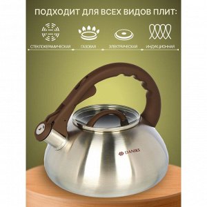 Чайник нержавеющая сталь, 3 л, со свистком, матовый, Daniks, Emerald, индукция, коричневый, DSC-8804