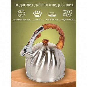 Чайник нержавеющая сталь, 3 л, со свистком, матовый, ручка бакелитовая в цвет дерева, Daniks, GS-04571/MSY-087