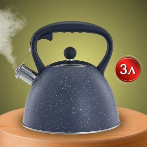 Чайник нержавеющая сталь, 3 л, со свистком, матовый, ручка бакелитовая, Alpenkok, индукция, AK-534