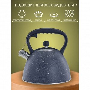 Чайник нержавеющая сталь, 3 л, со свистком, матовый, ручка бакелитовая, Alpenkok, индукция, AK-534
