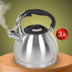 Чайник нержавеющая сталь, 3 л, со свистком, матовый, ручка бакелитовая, Daniks, GS-04511