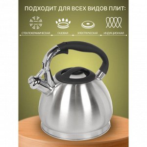 Чайник нержавеющая сталь, 3 л, со свистком, матовый, ручка бакелитовая, Daniks, GS-04511