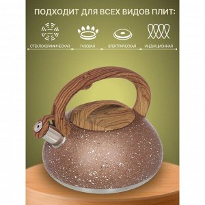 Чайник нержавеющая сталь, 3 л, со свистком, матовый, ручка бакелитовая, Daniks, коричневый мрамор, DSC-8800