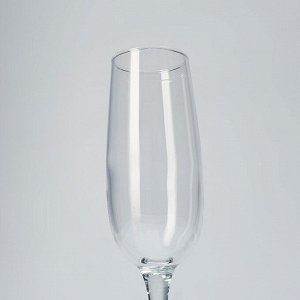 Бокал для шампанского, 175 мл, стекло, 6 шт, Luminarc, Allegresse, J8162