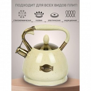 Чайник нержавеющая сталь, 3 л, со свистком, матовый, ручка с покрытием, нейлон, Daniks, индукция, бежевый, GS-04517H-1