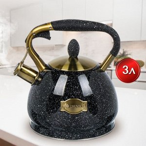 Чайник нержавеющая сталь, 3 л, со свистком, матовый, ручка с покрытием, нейлон, Daniks, индукция, черный, GS-04517G