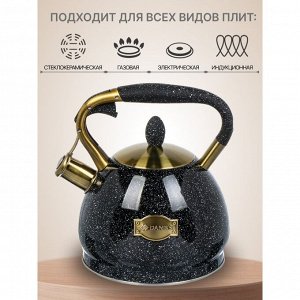 Чайник нержавеющая сталь, 3 л, со свистком, матовый, ручка с покрытием, нейлон, Daniks, индукция, черный, GS-04517G