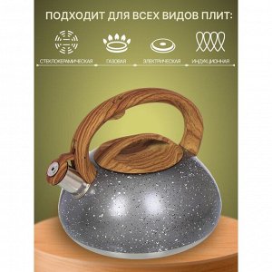 Чайник нержавеющая сталь, 3 л, со свистком, матовый, ручка с силиконовым покрытием, Daniks, серый мрамор, DSC-8799