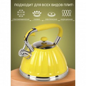 Чайник нержавеющая сталь, 3 л, со свистком, ручка бакелитовая, Daniks, индукция, желтый, GS-04611Y