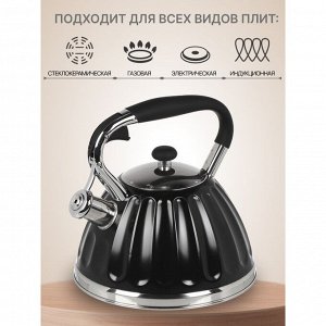 Чайник нержавеющая сталь, 3 л, со свистком, ручка бакелитовая, Daniks, индукция, черный, GS-04611B