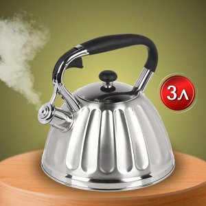Чайник нержавеющая сталь, 3 л, со свистком, сатинированный, ручка бакелитовая, Daniks, индукция, GS-04611